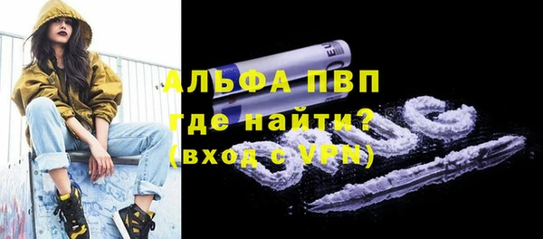дживик Белокуриха