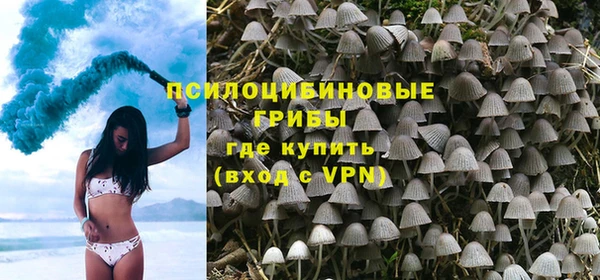 apvp Иннополис