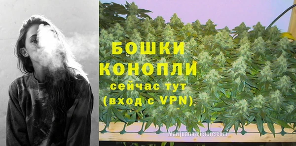 дживик Белокуриха