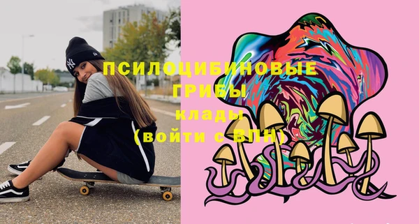 ГАЛЛЮЦИНОГЕННЫЕ ГРИБЫ Богородицк
