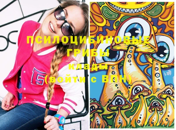 дживик Белокуриха
